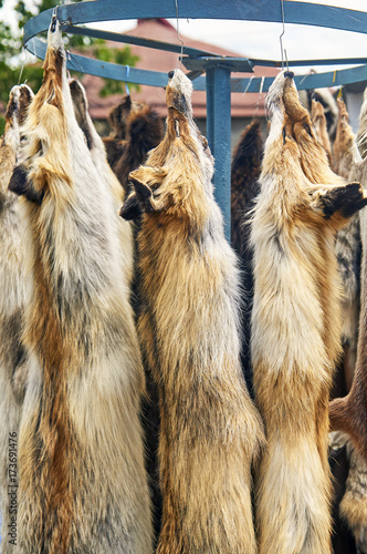 Furs of foxes are sold on the village market in Armenia