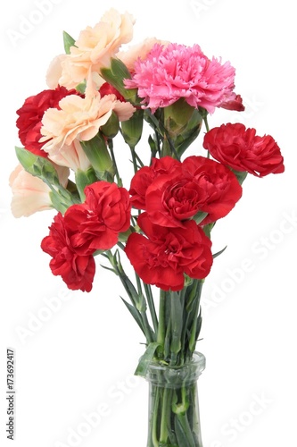 posy of multicolor carnations