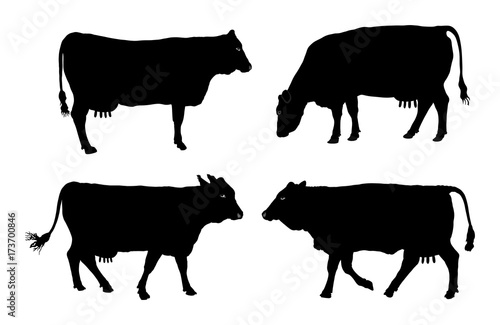 Group of Cow vector silhouette illustration.