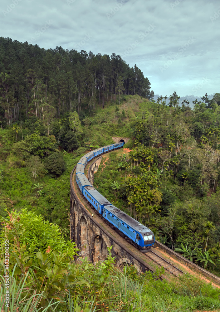 Obraz premium bridge railways, Ella, Sri Lanka