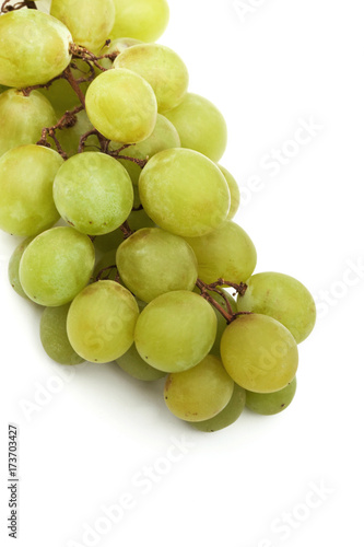 Green grapes macro