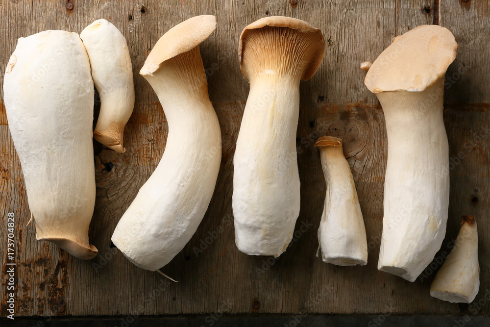Oyster mushrooms on old wood Oyster mushrooms on old wood