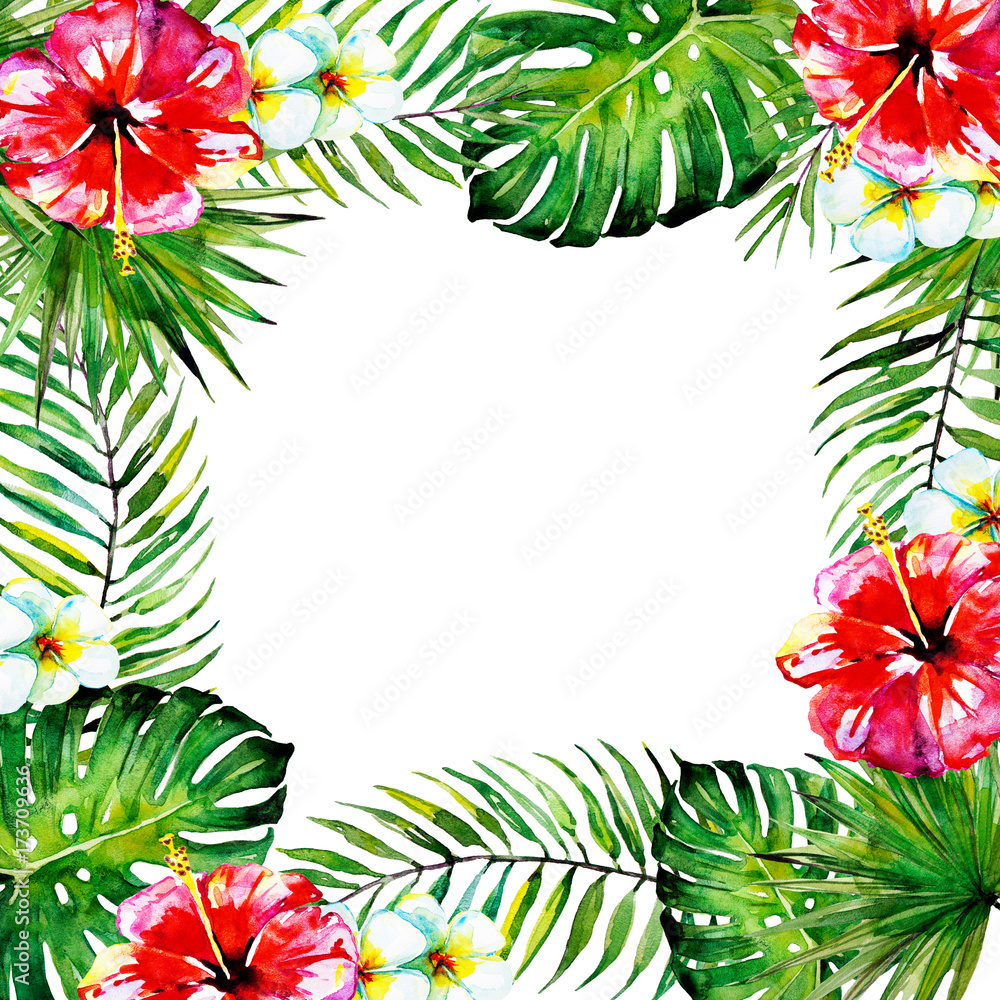 beautiful tropical palm laves, watercolor beautiful tropical palm laves, watercolor