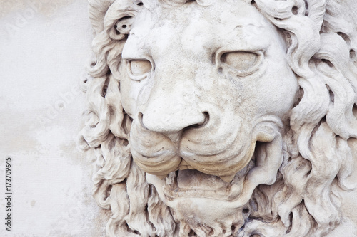 Sculpture of a medieval lion head of stone (Italy)