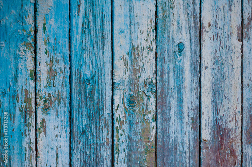 wooden boards with shabby blue paint (background, texture) © Mikhail