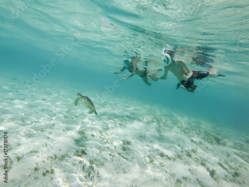 nager avec les tortues dans les Antilles © Erwin Barbé