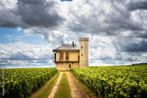 Chateau with vineyards, Burgundy, France photo