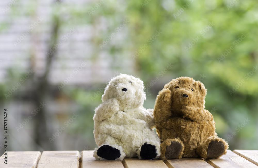 Couple Teddy Bears sitting on wooden floor