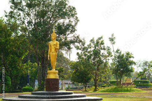 the buddha statue stand on the ground among the green tree around and rain drop at the temple