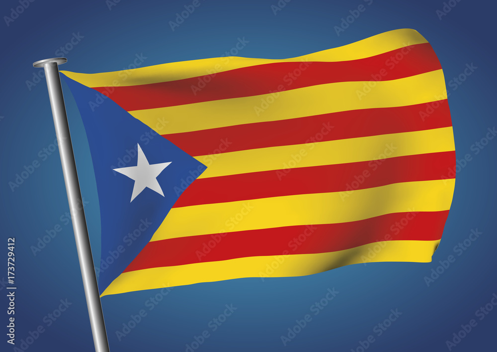 estelada flag waving on the sky catalona independence