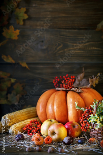 The wooden table decorated with vegetables, pumpkins and autumn leaves. Autumn background. Schastlivy von Thanksgiving Day.