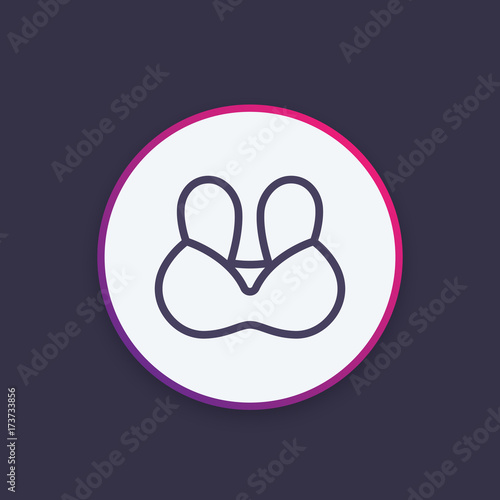 bra, underwear vector icon