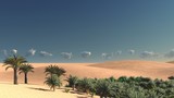 Wonderful sight on Sahara desert at sunset 3d rendering