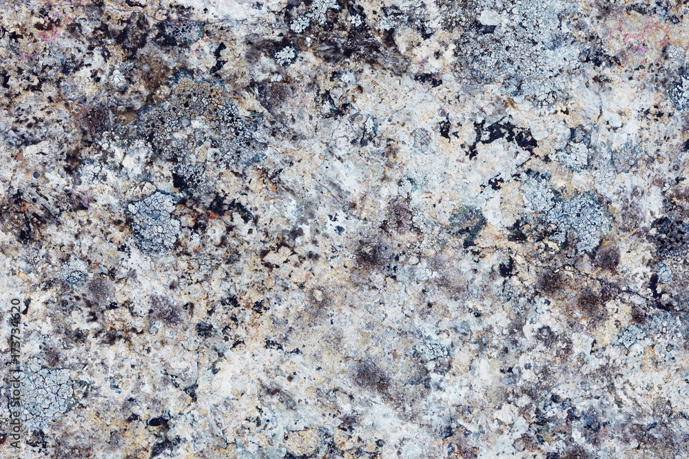 The surface rock with lichen from northern mountains The surface rock with lichen from northern mountains