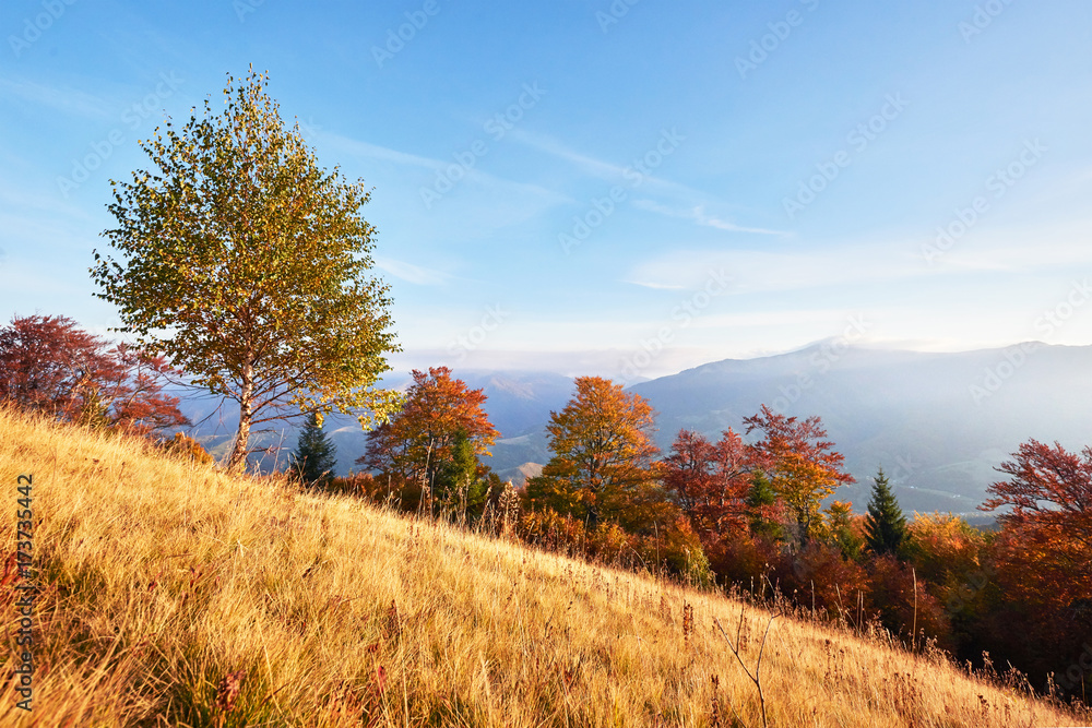 Autumn in mountain, amazing landscape Autumn in mountain, amazing landscape