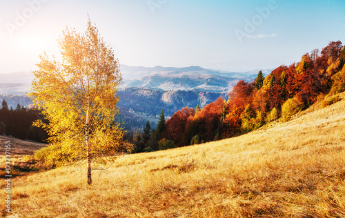 Autumn in mountain, amazing landscape