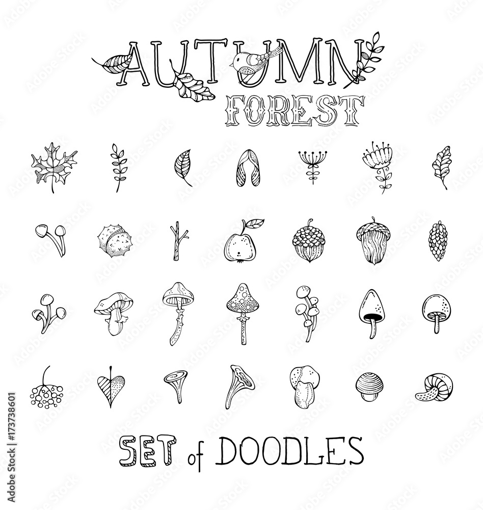 Vector doodles set of autumn forest plants and seeds.