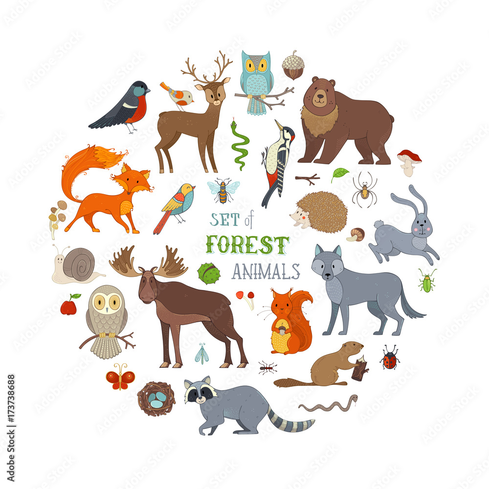 Vector set of forest animals isolated on white background.