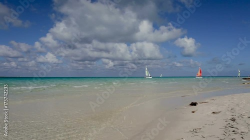 Pleasure yachts in the background of the tropical sea.