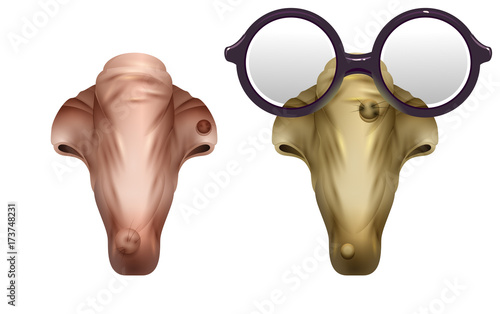 Scary realistic mask witches nose. Glasses and nose with wart. Halloween Accessory