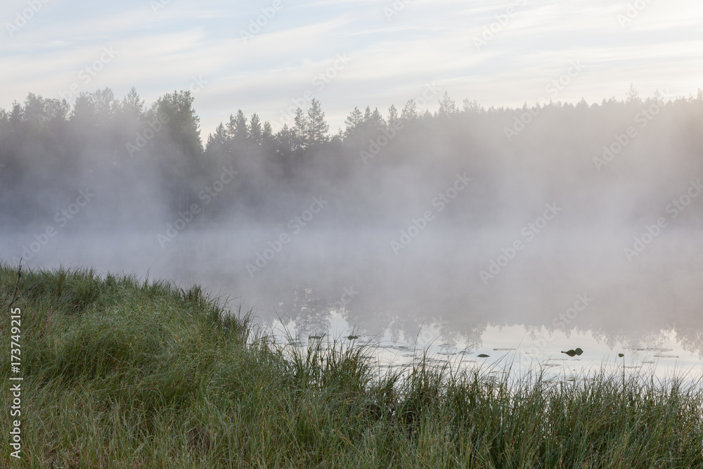 Foggy morning at forest pond landscape Finland