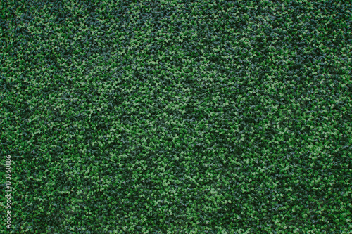 Artificial green leaves decorative pattern wall background.