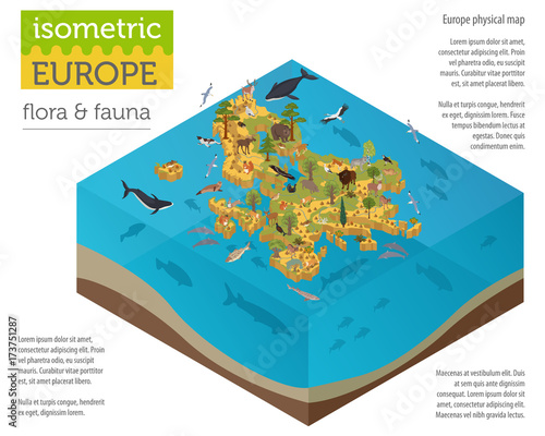 Isometric 3d European flora and fauna map constructor elements. Animals, birds and sea life isolated on white big set. Build your own geography infographics collection