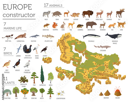 Isometric 3d European flora and fauna map constructor elements. Animals, birds and sea life isolated on white big set. Build your own geography infographics collection