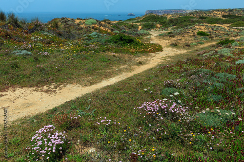 Summer Atlantic coast (Algarve, Portugal).