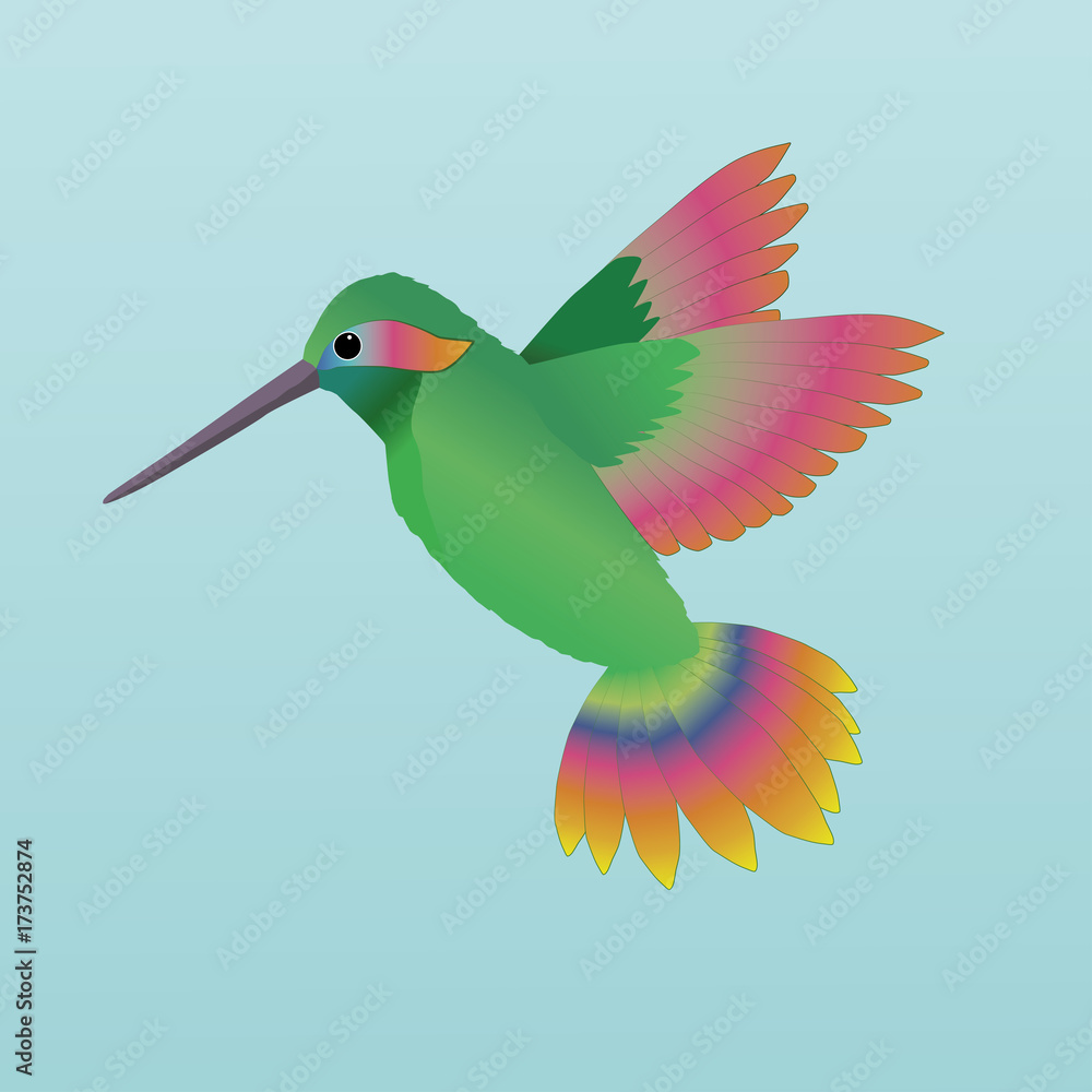 Obraz premium PrintHummingbird