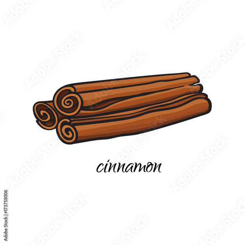 vector flat cartoon sketch style hand drawn dry cinnamon, canella sticks image. Isolated illustration on a white background. Spices , seasoning, flavorings, condiments and kitchen herbs concept.