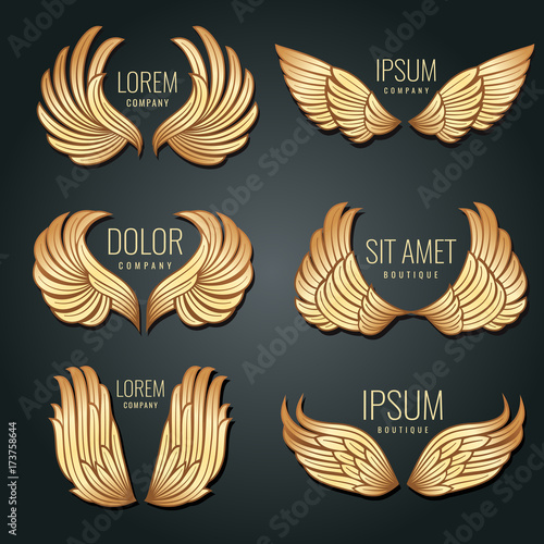 Golden wing logo vector set. Angels and bird elite gold labels for corporate identity design