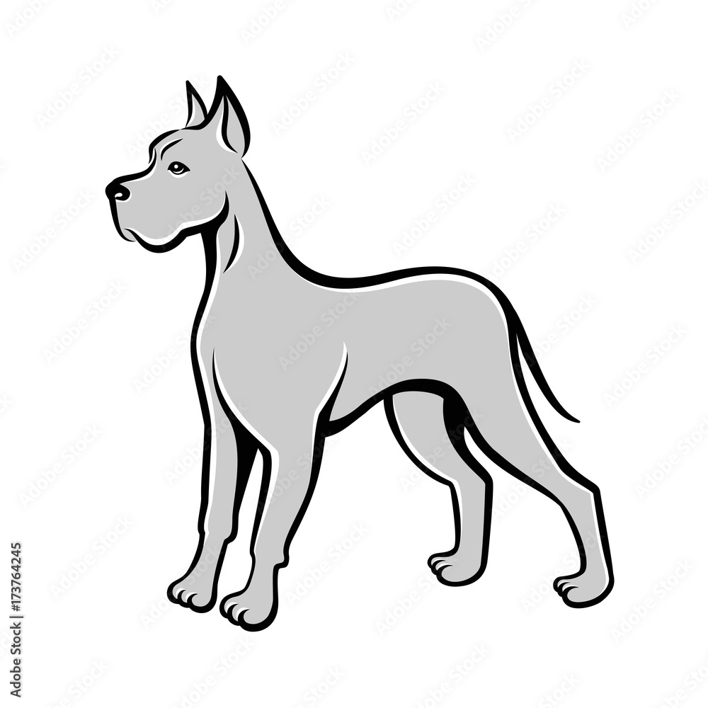 Obraz premium Dog line art drawing Great Dane. Can be used as pet shop logo or emblem of chinese new year 2018