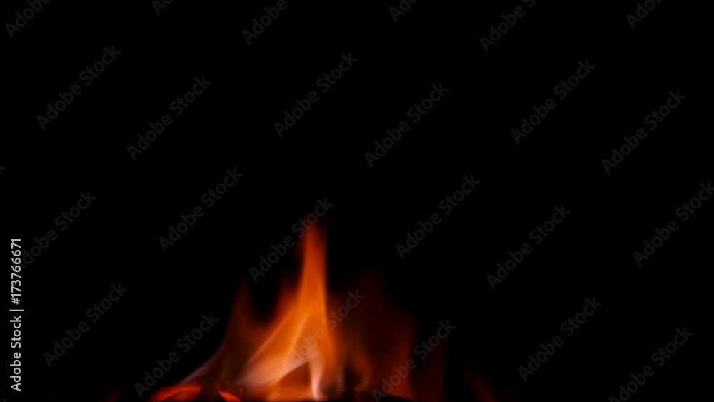 Burning fire on black background. Burning fire on black background.