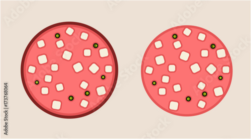 illustration einer Wurstscheibe mortadella