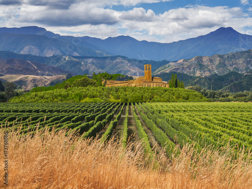 Tuscan Manor Overseeing Vineyards with Rows of grapes from a Hill on a Clear Summer Day