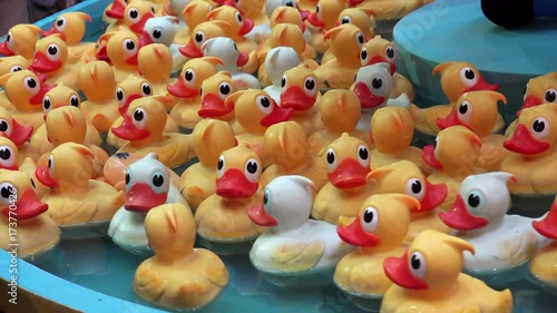 Cool Rubber duckies running around in arcade hunting game photo