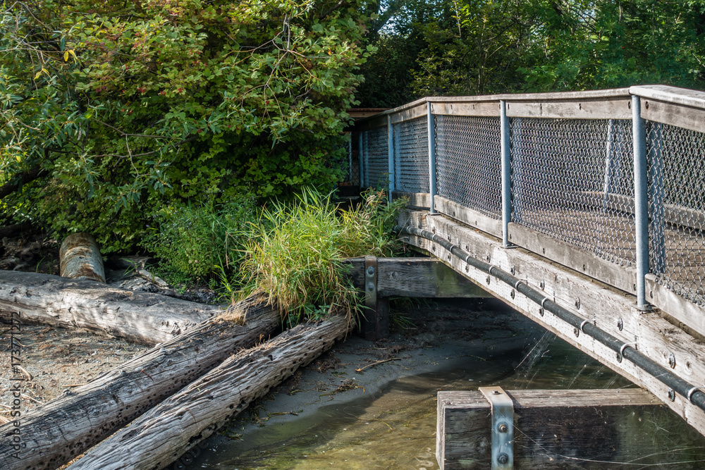 Gene Coulon Park Bridge 4