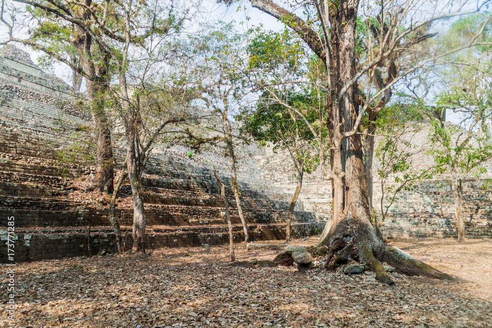 Obraz premium Ruins at the archaeological site Copan, Honduras