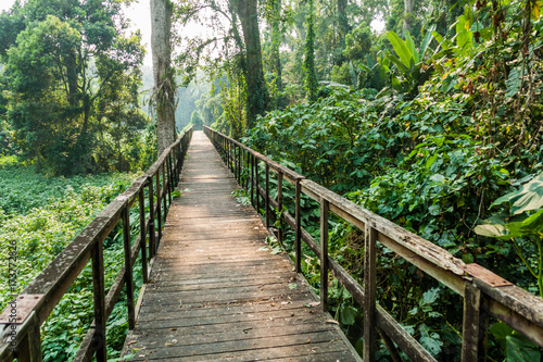 Boardwalk in eco-archaeological park Los Naranjos, Honduras