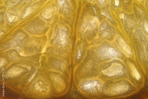 closeup macrophotograph of an tangerine slice