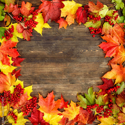 Autumn background with leaf on a wood