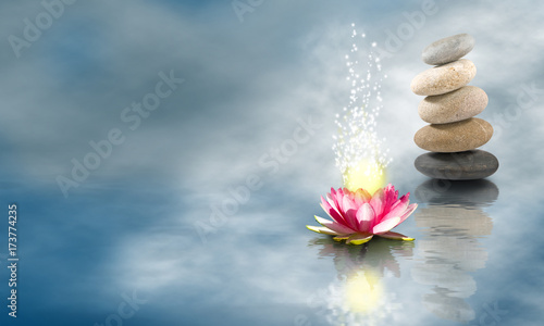 lotus flower and stones on the water