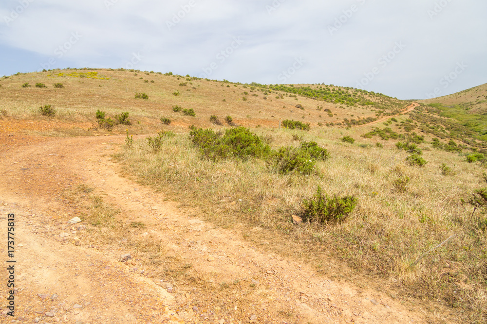 Trail in the mountains and vegetation Trail in the mountains and vegetation
