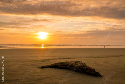 Pacific Ocean and Copalis River photo