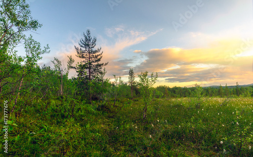Beautiful Northern nature at sunset in summer