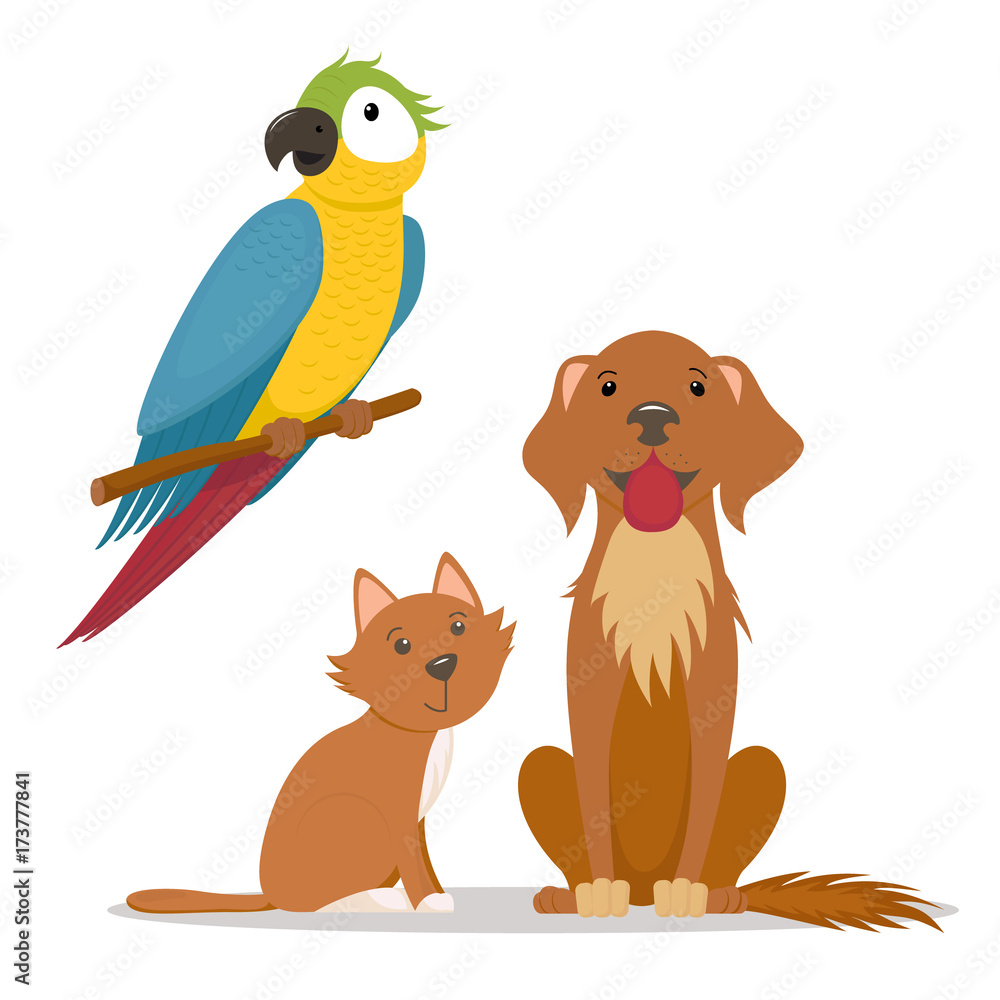 Pets - little cat, labrador dog and ara, macaw parrot, cartoon vector  illustration isolated on white background. Cartoon cat kitten, ara parrot  and big friendly dog characters, cartoon pets Stock Vector |