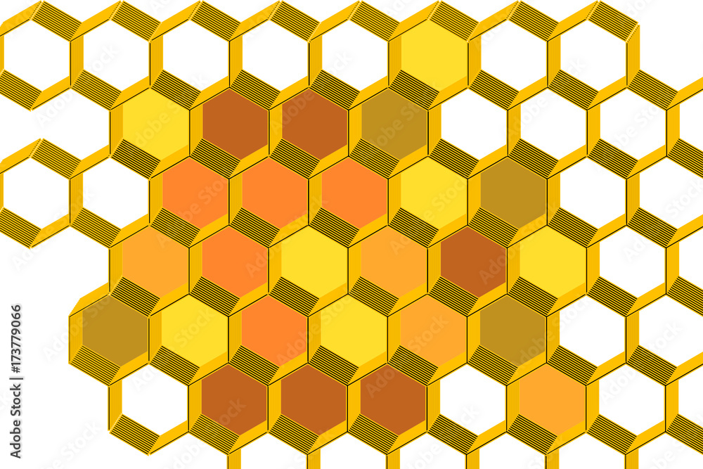 honey comb illustration on white background honey comb illustration on white background