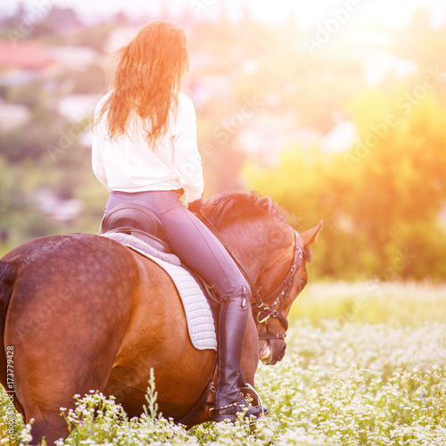 Young rider woman with curly brown hair in white shirt walking on chamomile field. Rear view equestrian background with copy space