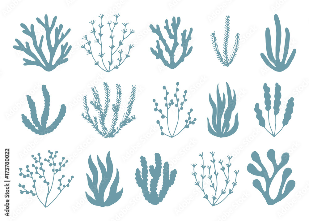 algae silhouettes set of icons algae silhouettes set of icons